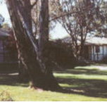 Winbi River Resort - Accommodation Perth
