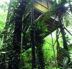 Daintree Eco Lodge And Spa - Accommodation Perth 1