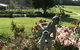 Jacaranda Country Lodge - thumb 2