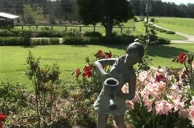 Jacaranda Country Lodge - Perth Resorts 2