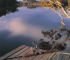 Jacaranda Country Lodge - Perth Resorts 4