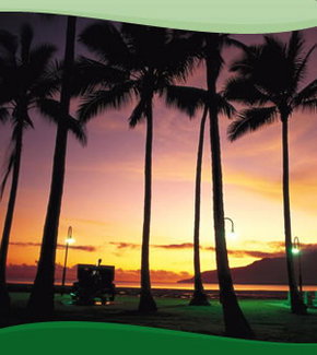 Bay Village Tropical Retreat, Cairns - Accommodation Perth 1