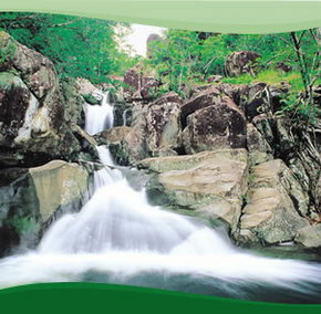 Bay Village Tropical Retreat, Cairns - Accommodation Perth 2