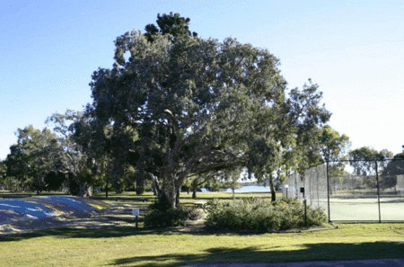 Coolwaters Holiday Village - Accommodation Perth 5