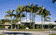 Ivory Palms Resort - thumb 3