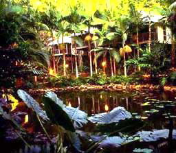 Daintree Eco Lodge And Spa - Accommodation Perth 3
