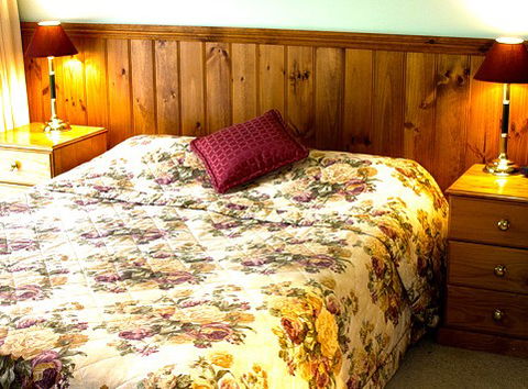 Mountain View Motor Inn And Holiday Lodges - Accommodation Perth 1