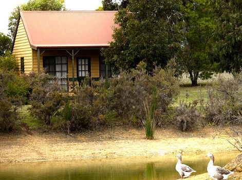 Mountain View Motor Inn And Holiday Lodges - Accommodation Perth 2