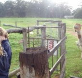 Boronia Farm Farmstay - Accommodation Perth
