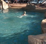 Undara Experience Lava Lodge - Accommodation Perth