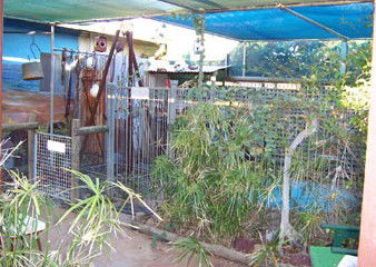 Safari Lodge Motel - Accommodation Perth 1