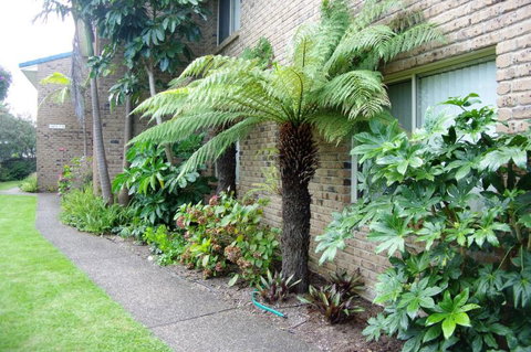 Beachfront Units Merimbula - Accommodation Perth 3