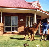 Brilea Cottages - Accommodation Perth