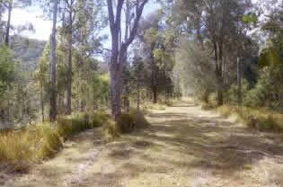Toms Creek Retreat - Accommodation Perth 1