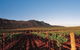 Peppers Guest House Hunter Valley - thumb 2