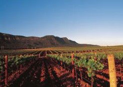 Peppers Guest House Hunter Valley - Accommodation Perth 2