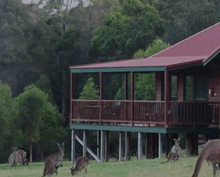 Walpole Wilderness Resort - Accommodation Perth