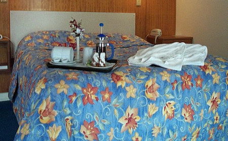 Bandicoot Motor Inn - Accommodation Perth 2