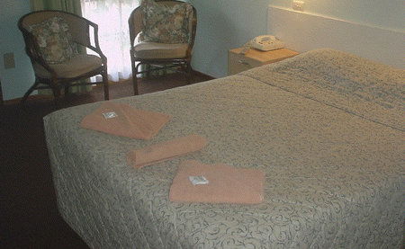 Bandicoot Motor Inn - Accommodation Perth 4