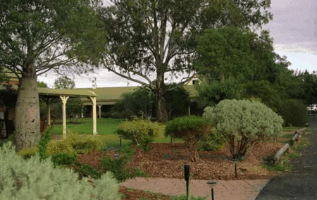 Quality Inn Overlander Homestead - thumb 4