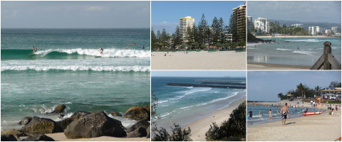Blue Pelican Motor Inn - Accommodation Perth 3