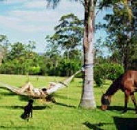 Neds Bed Horse O Tel - Accommodation Perth