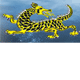 Dragon Phoenix Motel & Restuarant - Accommodation Perth 0
