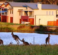 Grand Mercure The Vintage Hunter Valley - Accommodation Perth