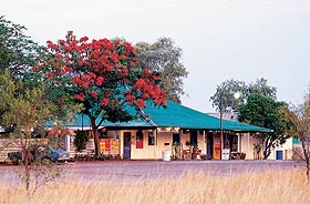 Wauchope Hotel And Roadhouse - Accommodation Perth 0