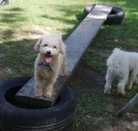Beenleigh Pet Motel - Accommodation Perth