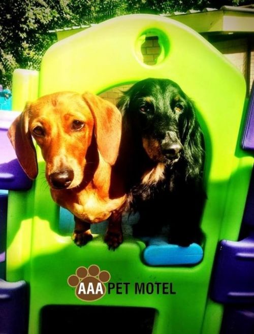 Mudgeeraba QLD Accommodation Perth