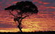 Kimba Caravan Park & Motel - thumb 0