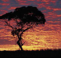 Kimba Caravan Park amp Motel - Accommodation Perth