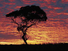 Kimba Caravan Park & Motel - Accommodation Perth 0