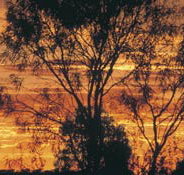 Tilmouth Well - Accommodation Perth