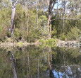 Sanctuary House Resort Motel - Healesville - Accommodation Perth 5