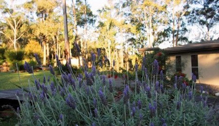 Wild Edge Retreat - Accommodation Perth 2