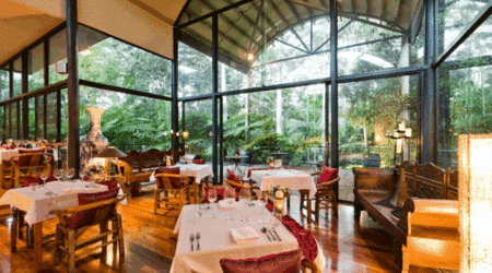 Pethers Rainforest Retreat - thumb 1