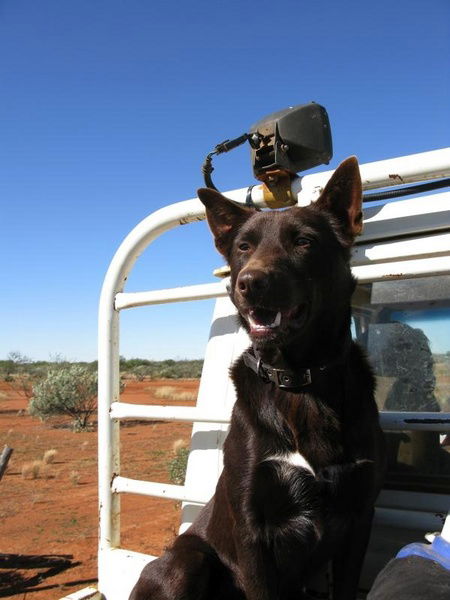 Wooleen Outback Station Stay - Accommodation Perth 2