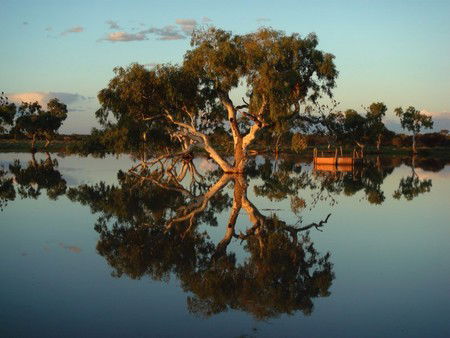 Wooleen Outback Station Stay - Accommodation Perth 3