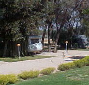 Paringa Caravan Park - Accommodation Perth