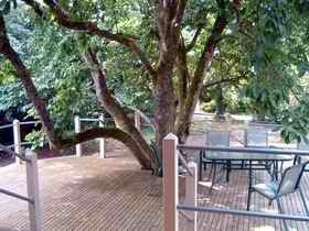 Magnolia House Marysville - Accommodation Perth 0