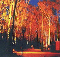 Dwellingup Chalet amp Caravan Park - Accommodation Perth
