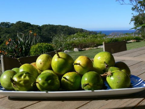 The Outlook Cabana - Accommodation Perth 8