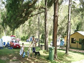 Glasshouse Mountains Holiday Village - Accommodation Perth 0