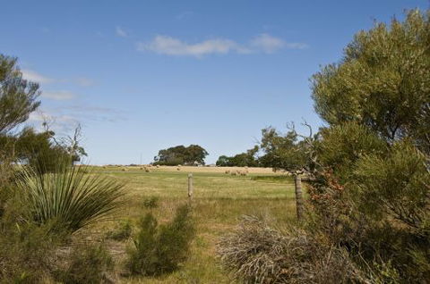 Ficifolia Lodge - Accommodation Perth 4