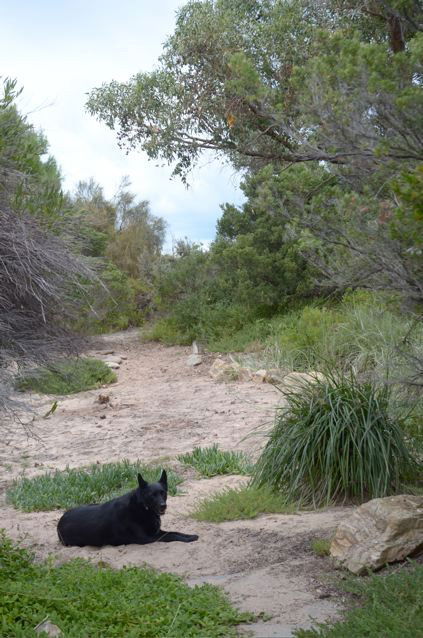 Dune Hideaway - Accommodation Perth 3