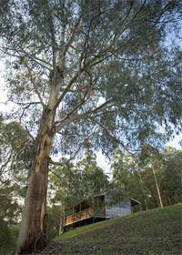 Noojee VIC Accommodation Perth