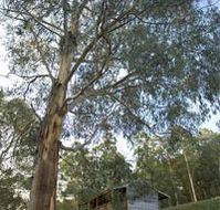 Outpost Restaurant - Accommodation Perth