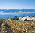 Marions Vineyard  - Accommodation Perth